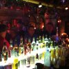 031211jungletones 14